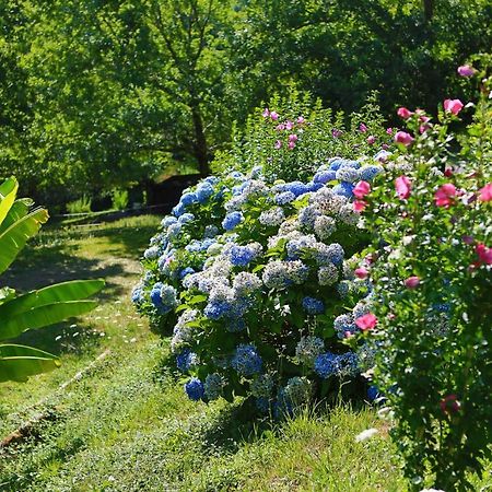 Les Chalets De Pierretoun La Bastide-Clairence Εξωτερικό φωτογραφία