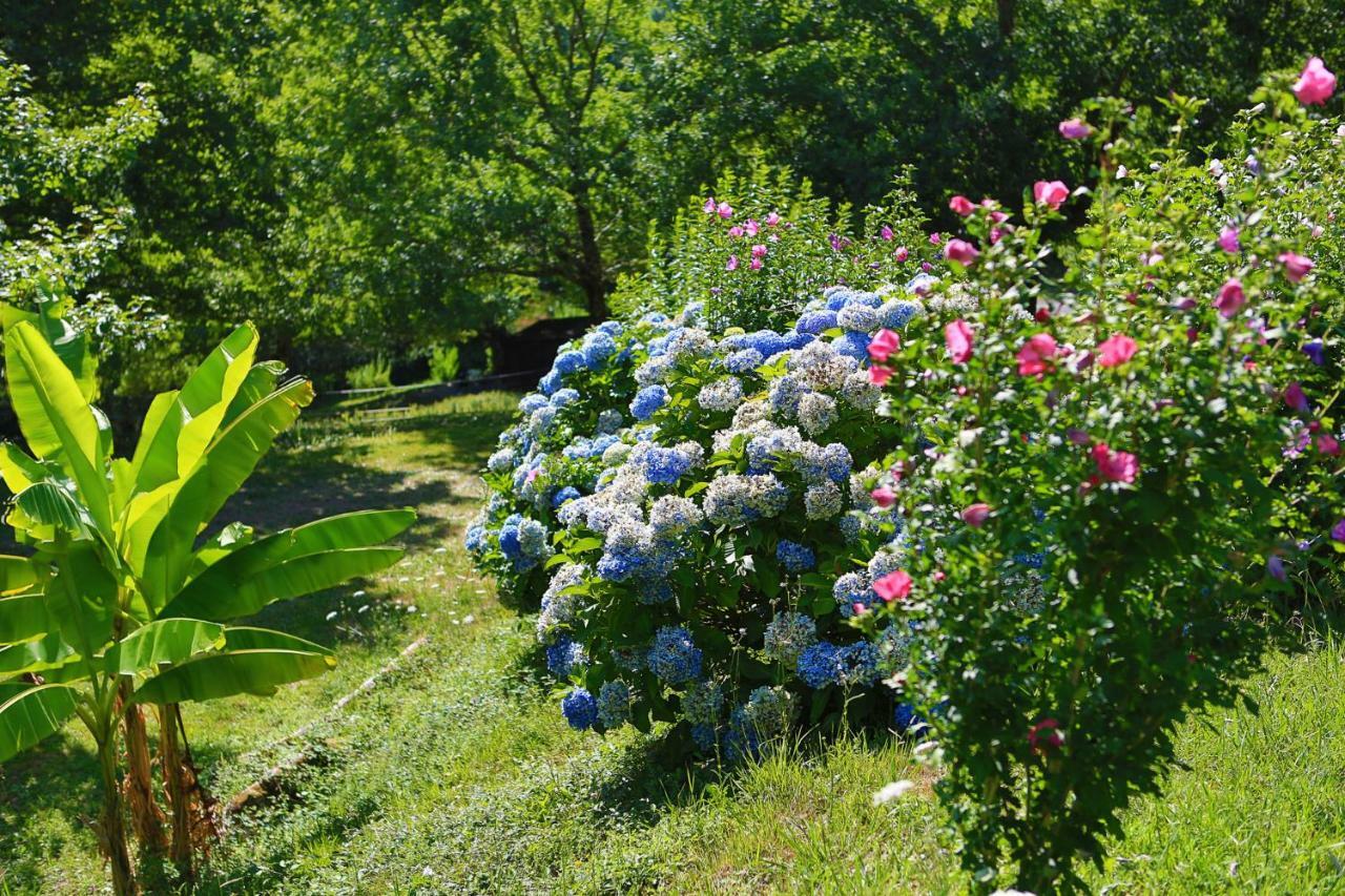 Les Chalets De Pierretoun La Bastide-Clairence Εξωτερικό φωτογραφία