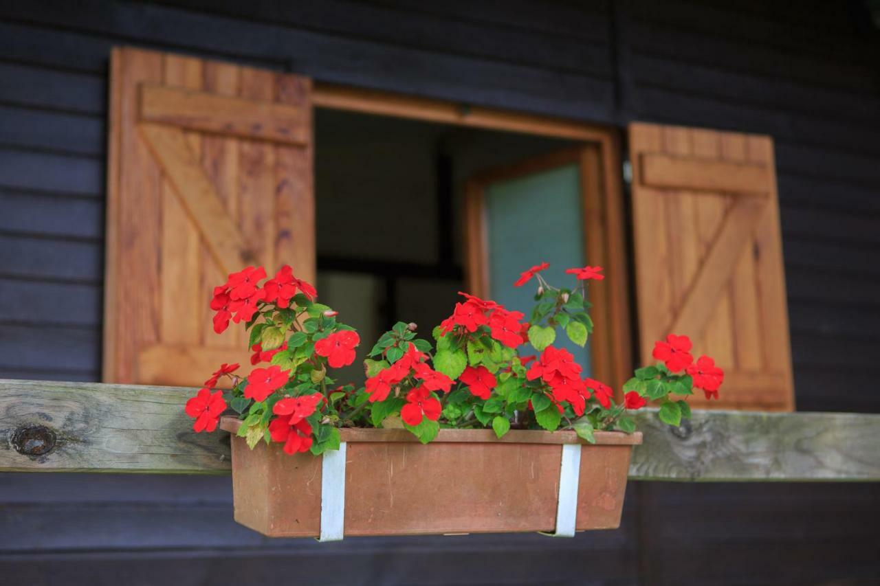 Les Chalets De Pierretoun La Bastide-Clairence Εξωτερικό φωτογραφία